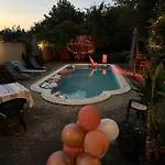 Tulipanos Haz