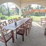 Tulipanos Haz