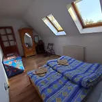 Tulipanos Haz *