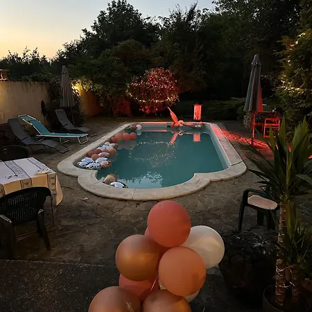 Tulipanos Haz