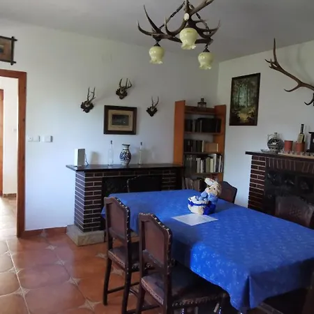 Tulipanos Haz ヴァレンツァ