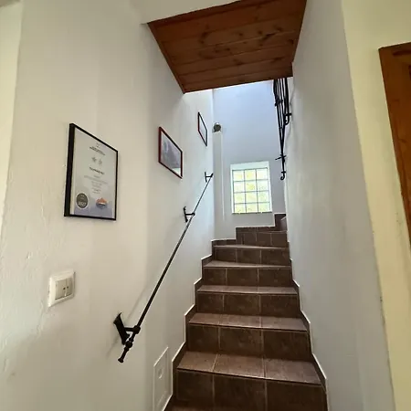 Tulipanos Haz アパート ヴァレンツァ