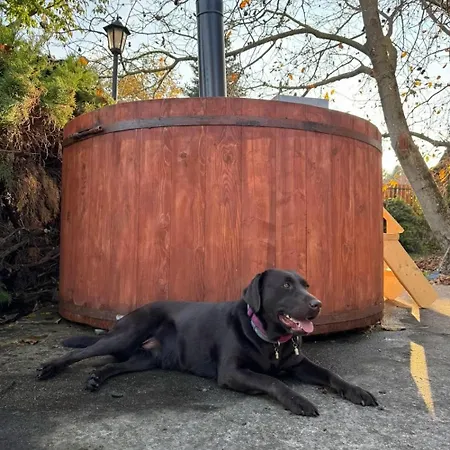 アパート Tulipanos Haz *