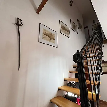 Tulipanos Haz アパート *