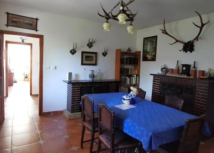 Tulipanos Haz Velence