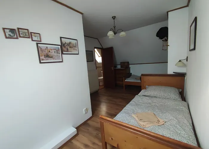 Tulipanos Haz Velence