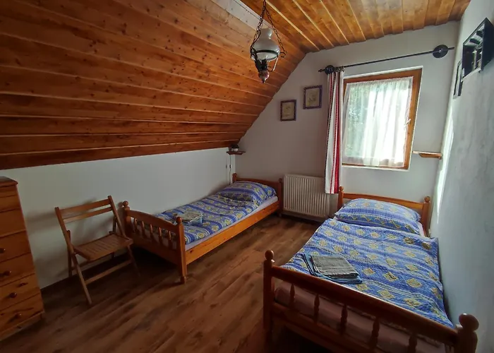 Tulipanos Haz * Velence