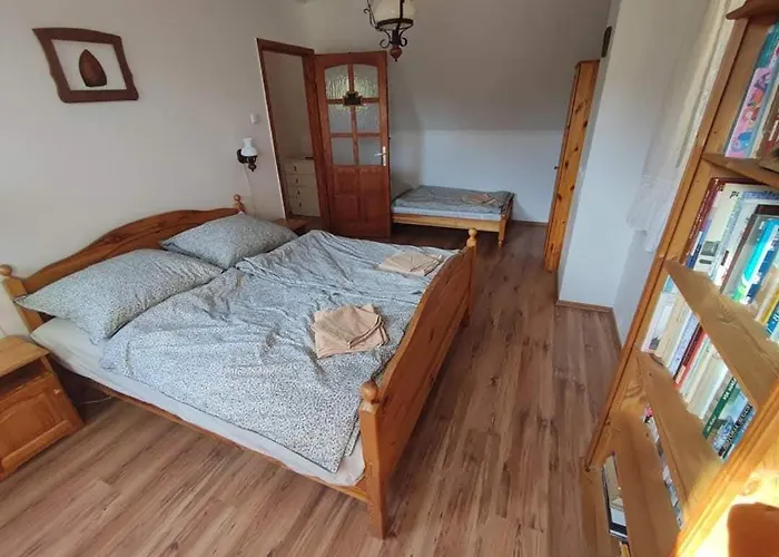 Tulipanos Haz *