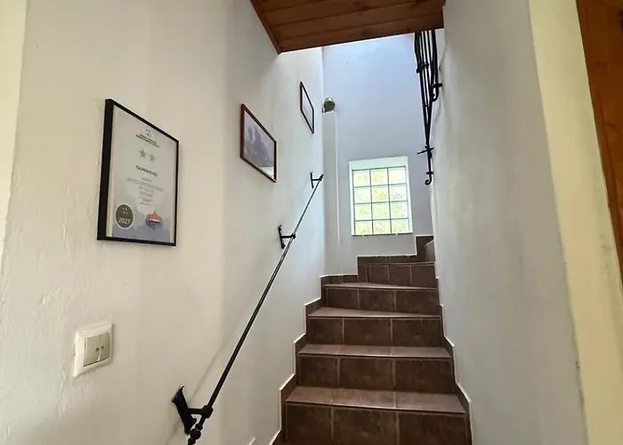 Tulipanos Haz Apartment Velence