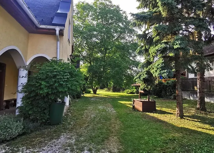 Tulipanos Haz Velence